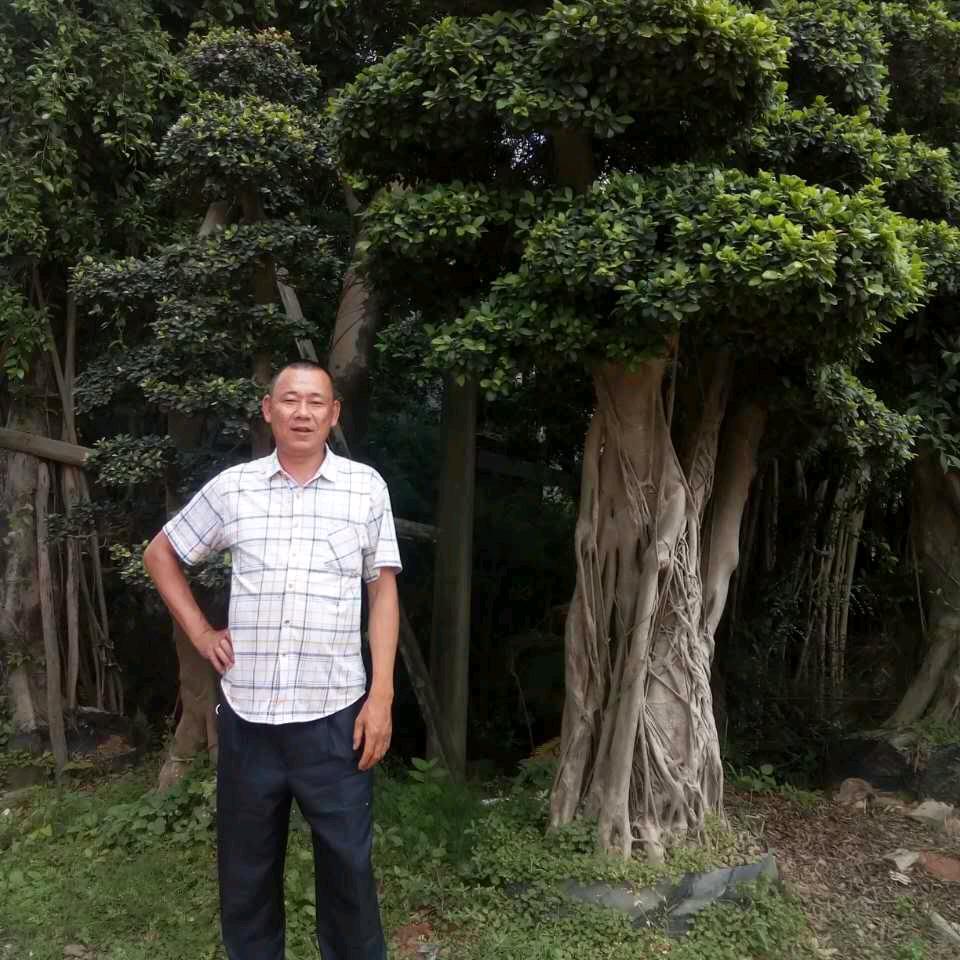 雄伟壮观