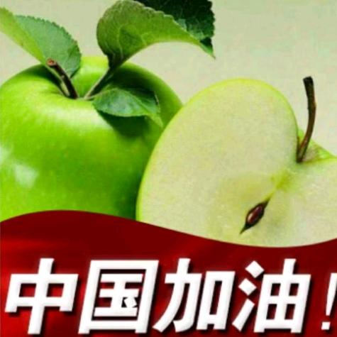理LX想