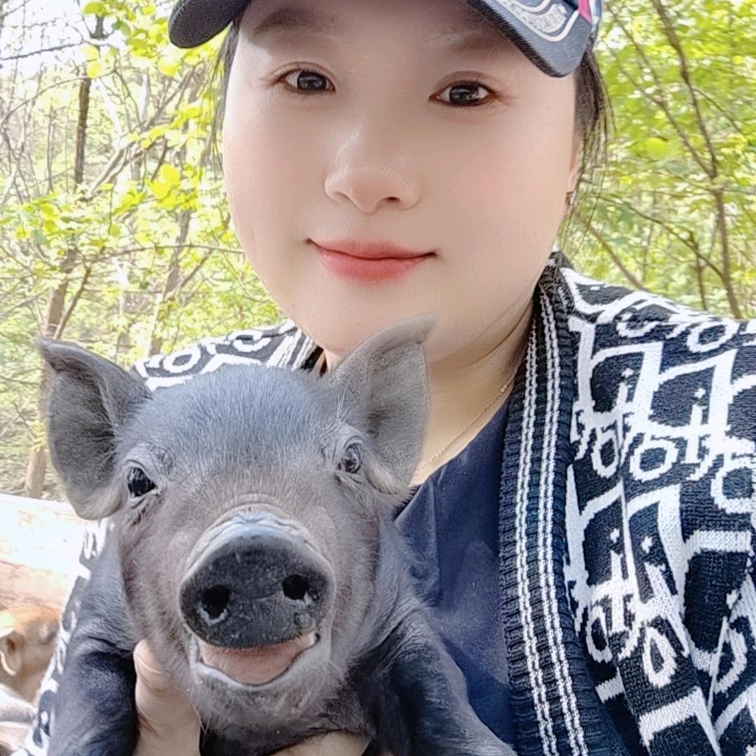 山猪妹