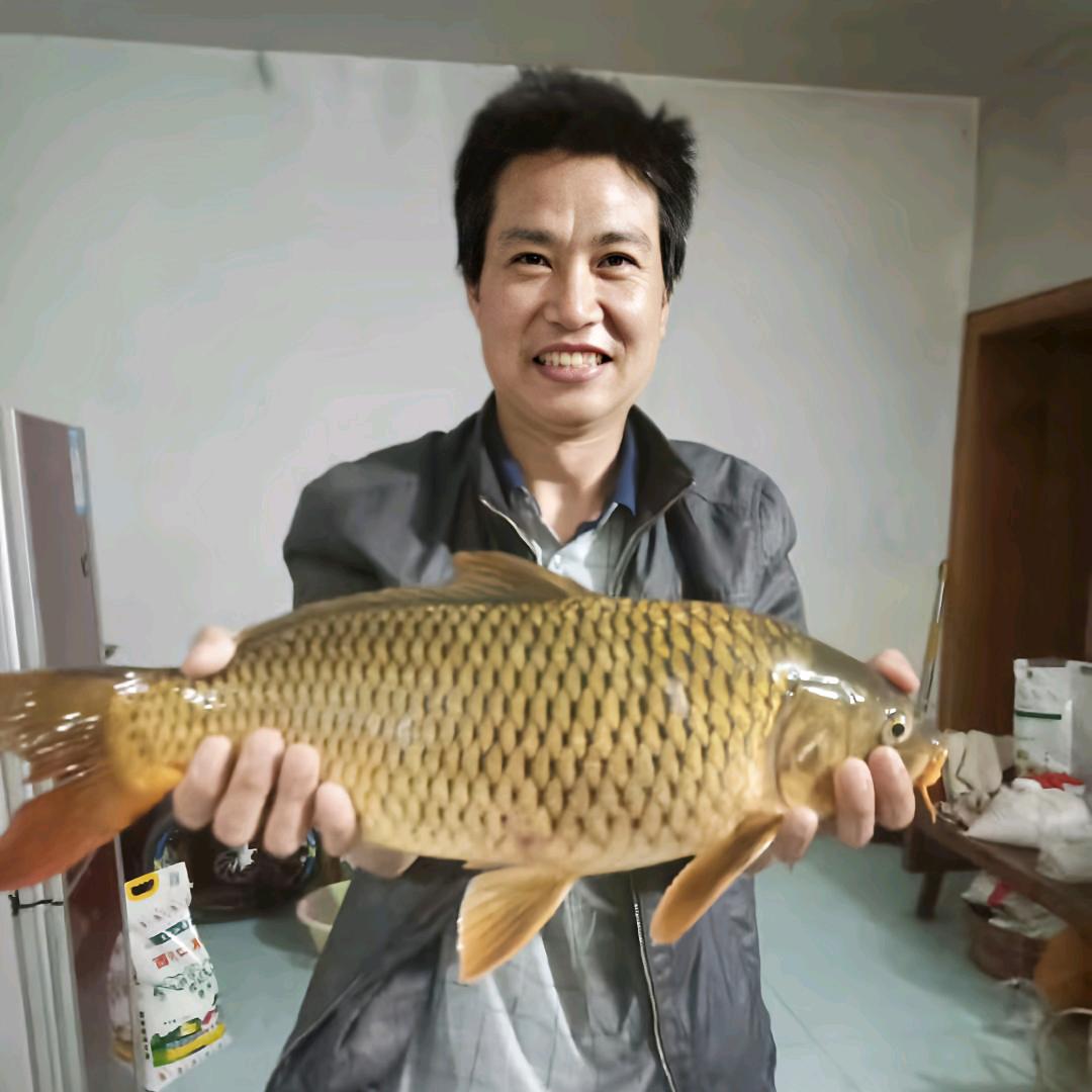 休息就钓鱼