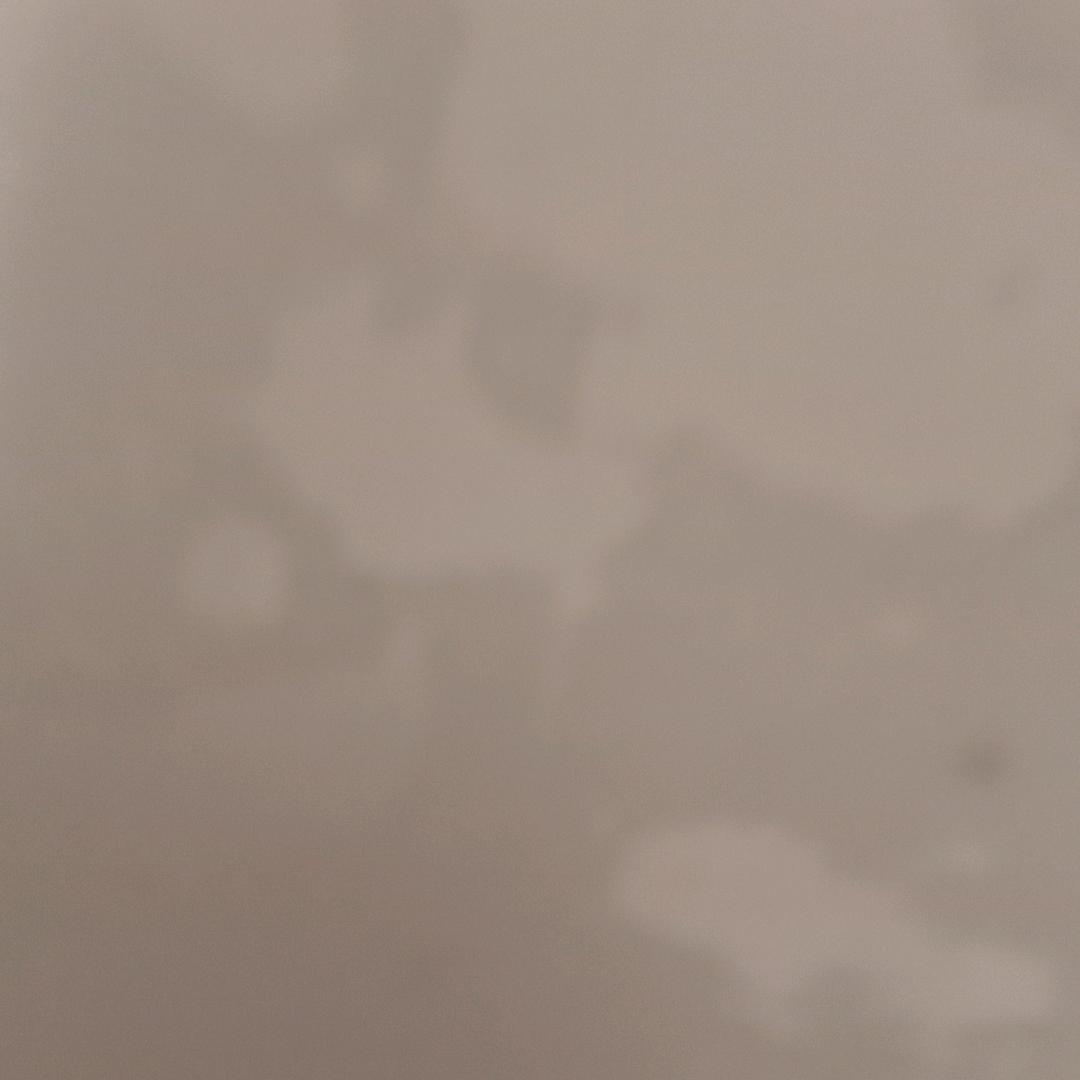 牛牛