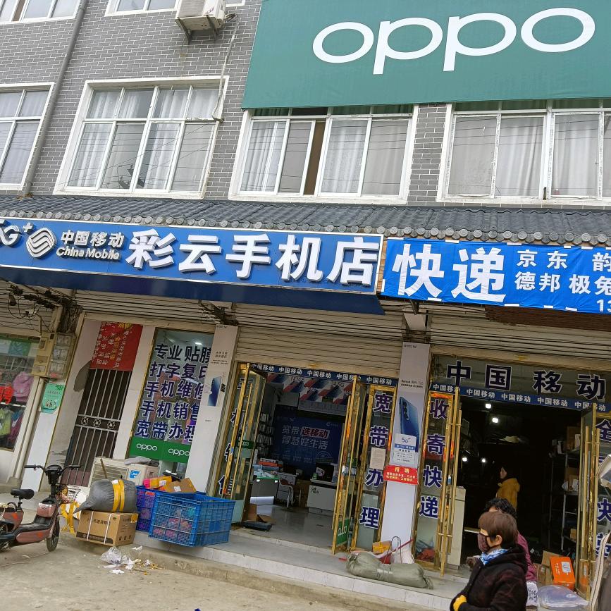 龙亢街道快递店。