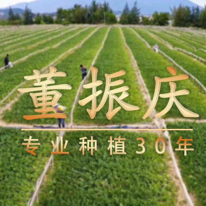 老董种地懂得都懂