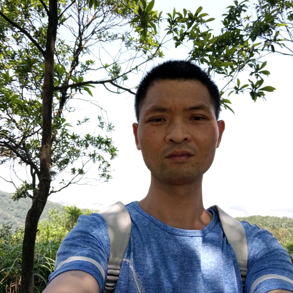 心陈则林