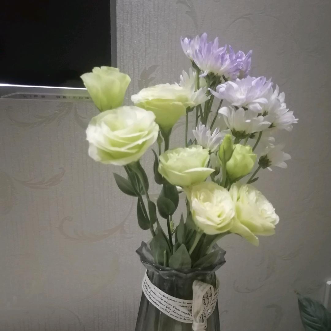 排球小宝宝