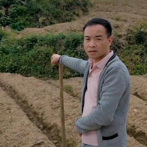 金宝的春天