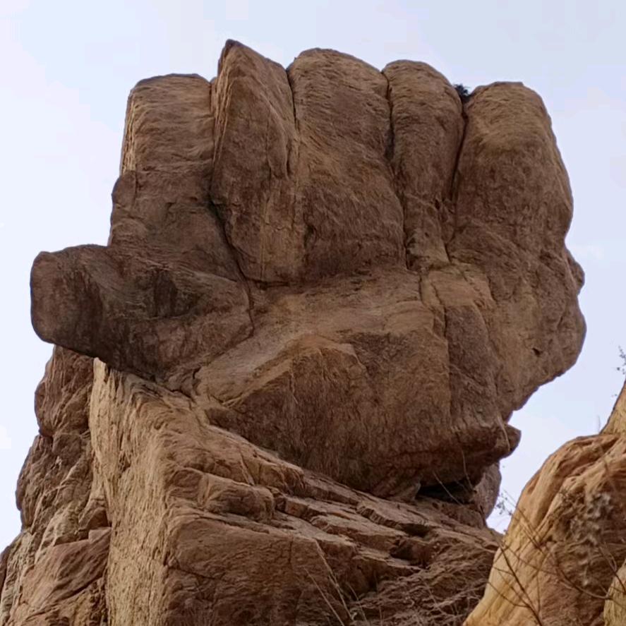 良心哥