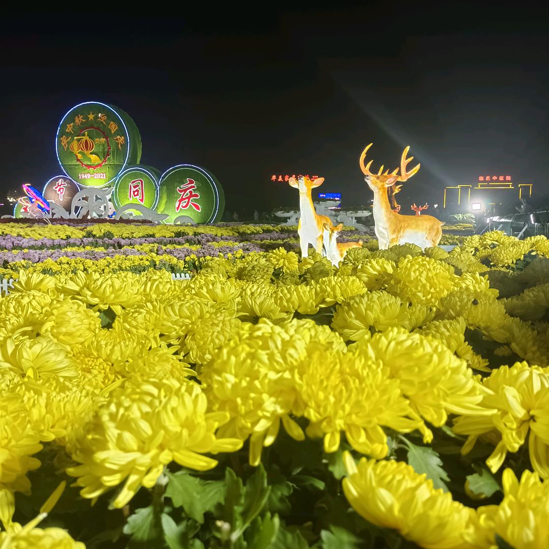 一不小心成大叔了