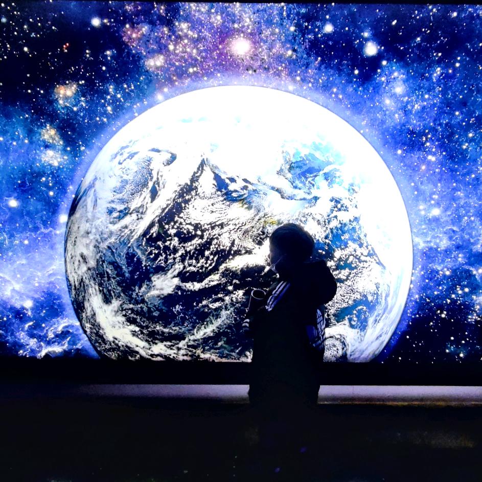 撸猫🐱🐱🐱🐱🐱🐱🐱🐱🐱