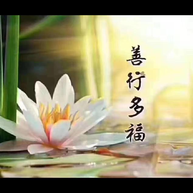 善缘