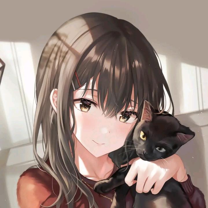 ❤️在雪山看极光💚