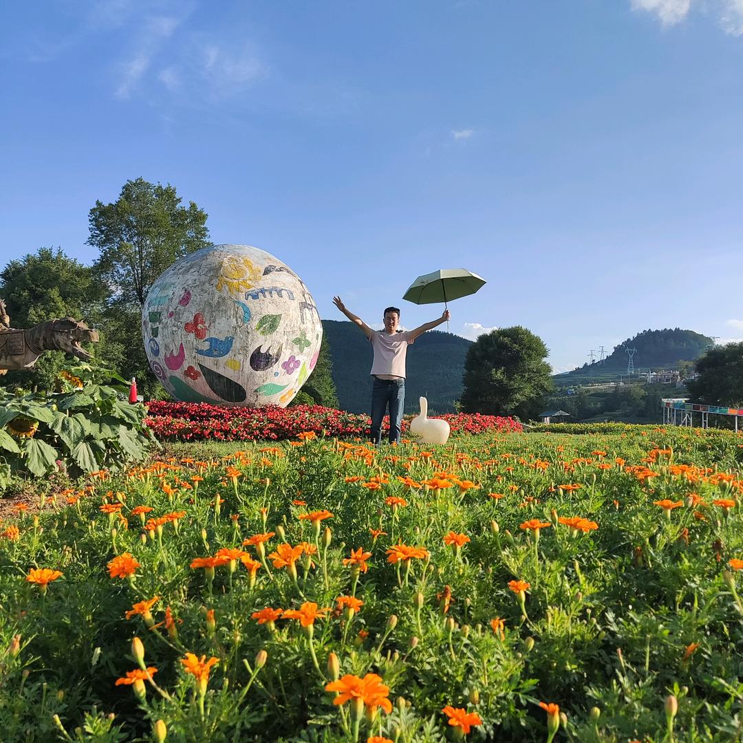 @重生之我在六盘水干装修