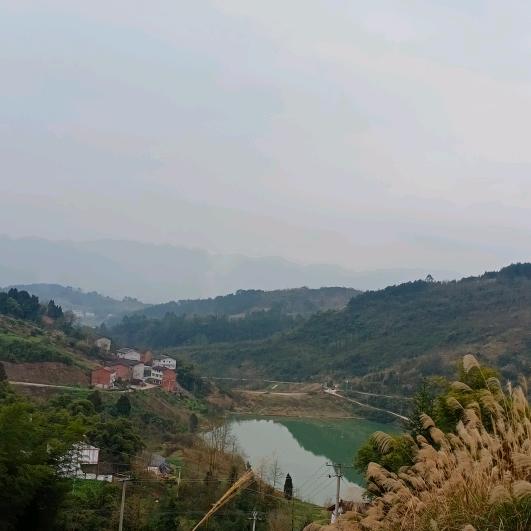 ꧁༺๑笑看人生๑༻꧂