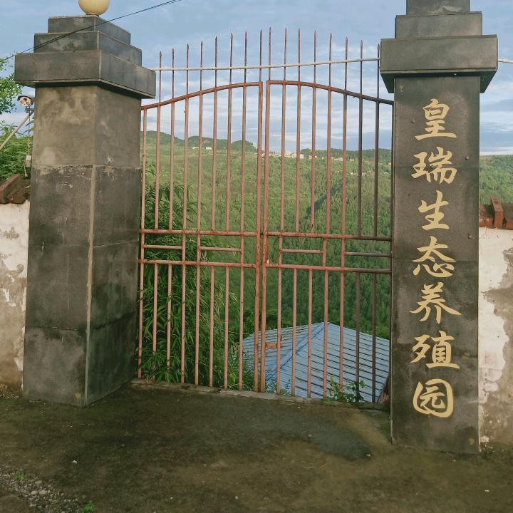 红尘情歌