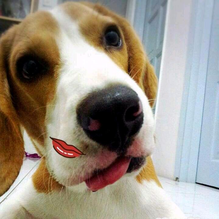 𝓚  姐姐🌸