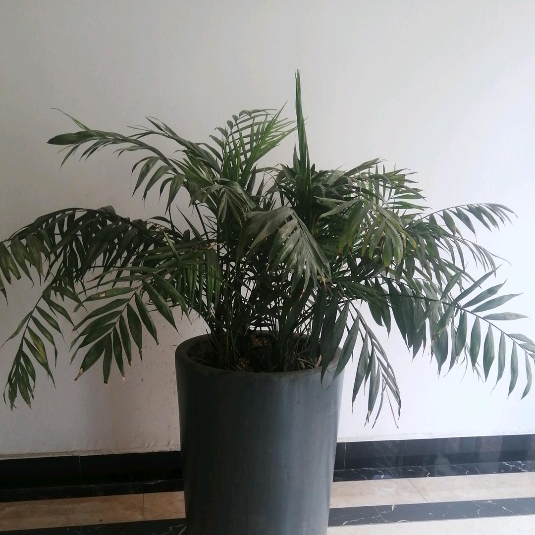 答案在风中飘荡