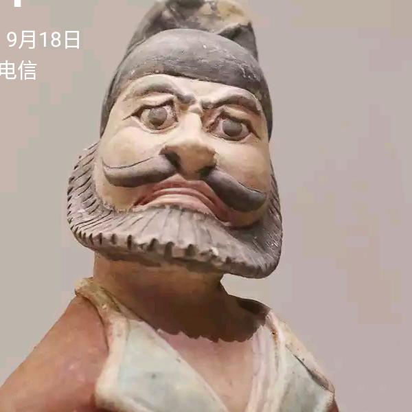 八面玲珑小可爱