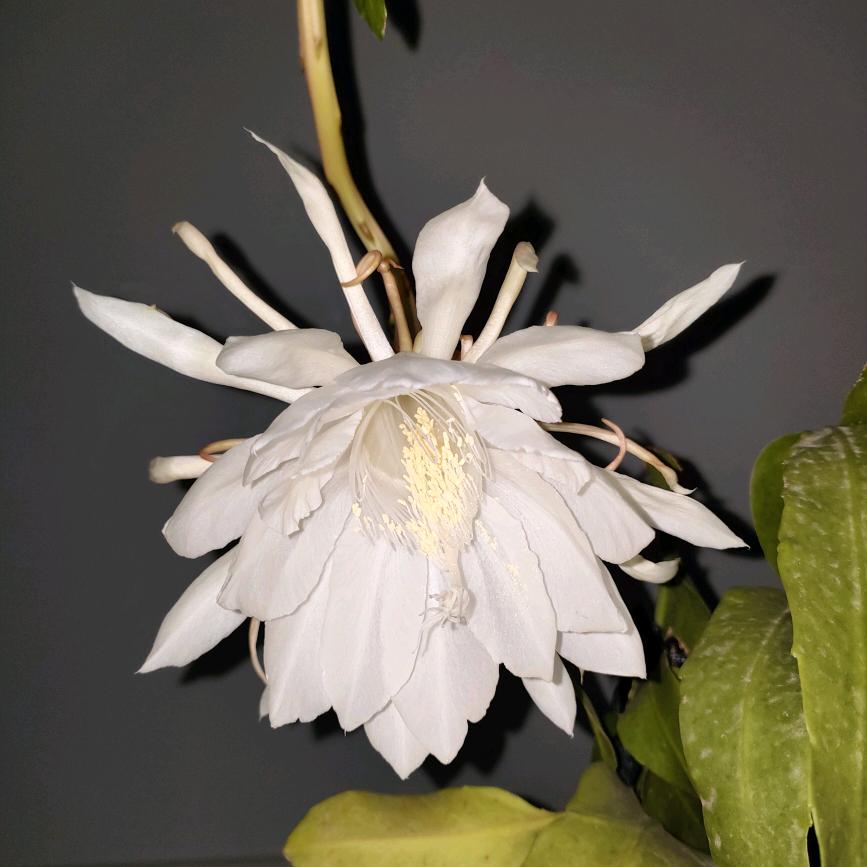 愿余生温柔以待