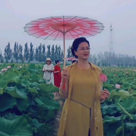 心若晨兰《拒合拍》