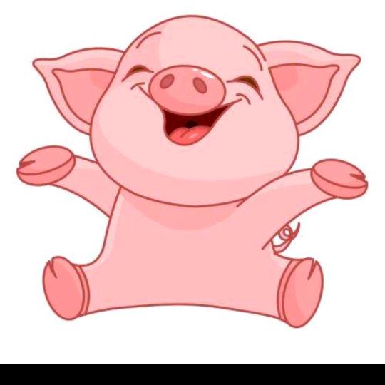 🐷猪