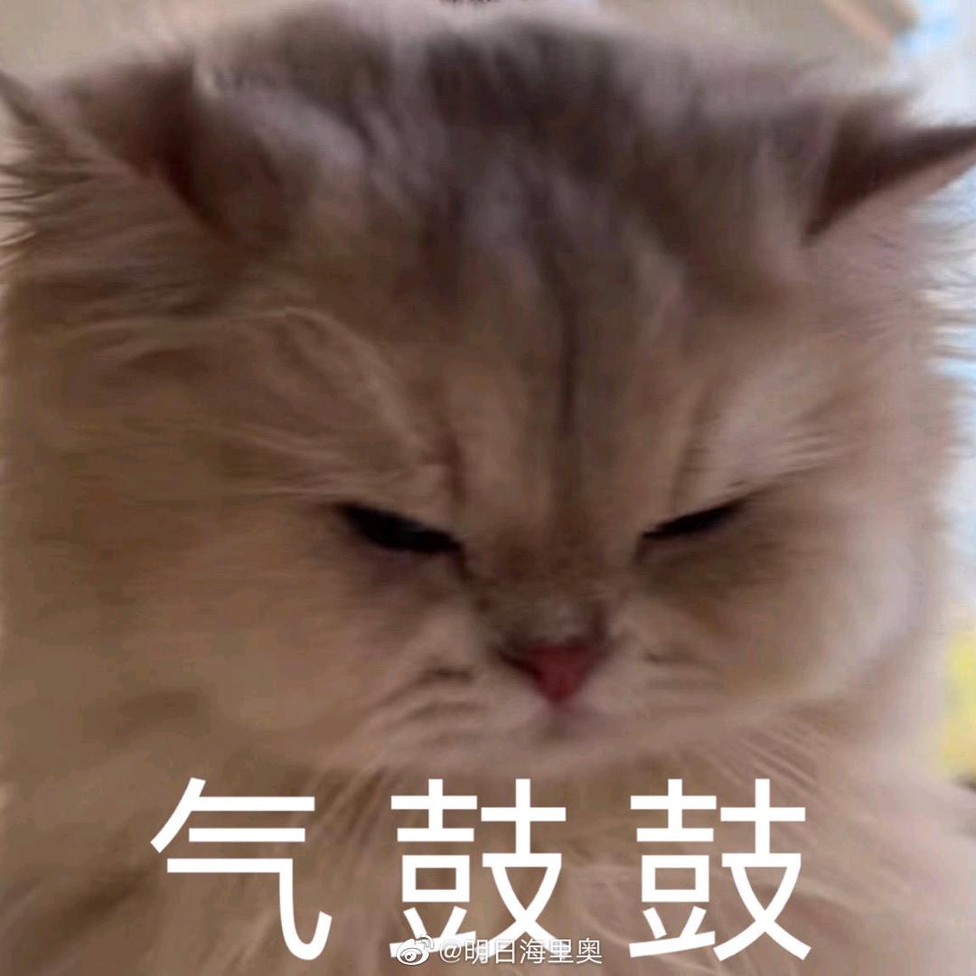 🌈纠结啊纠结头像
