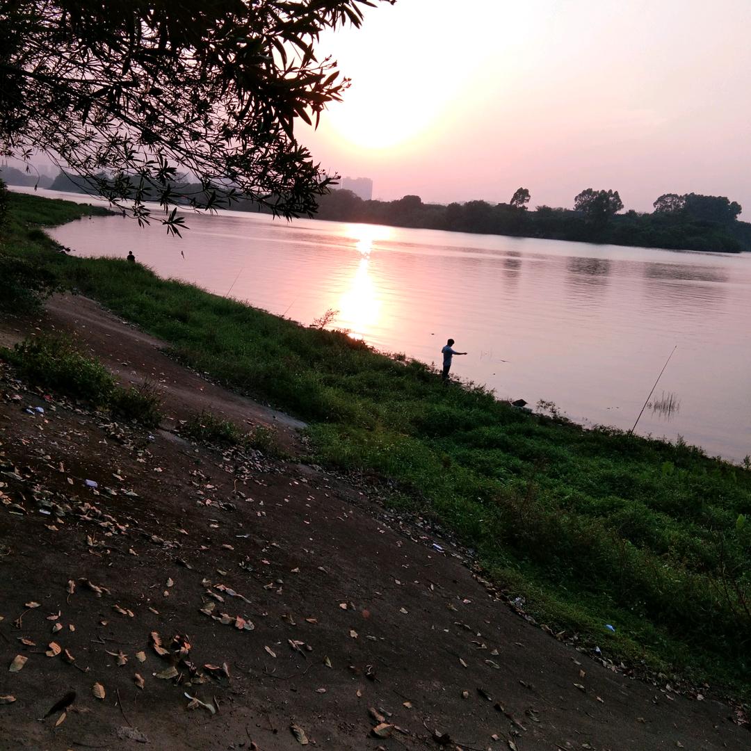 夕阳无限美