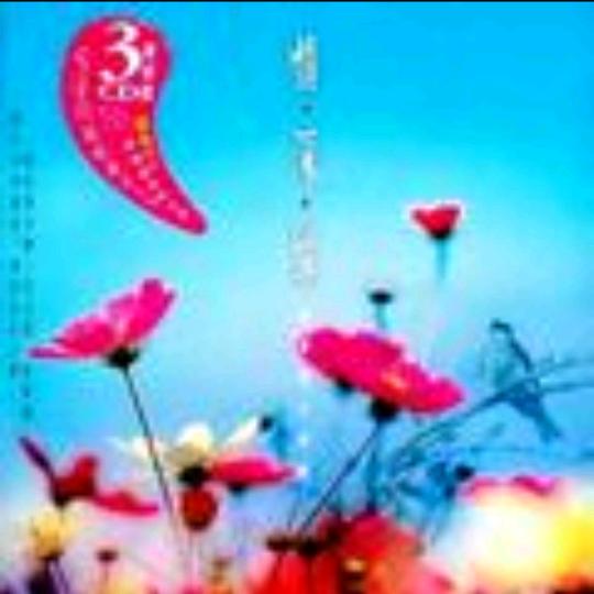 来生缘《手机摄影特效》