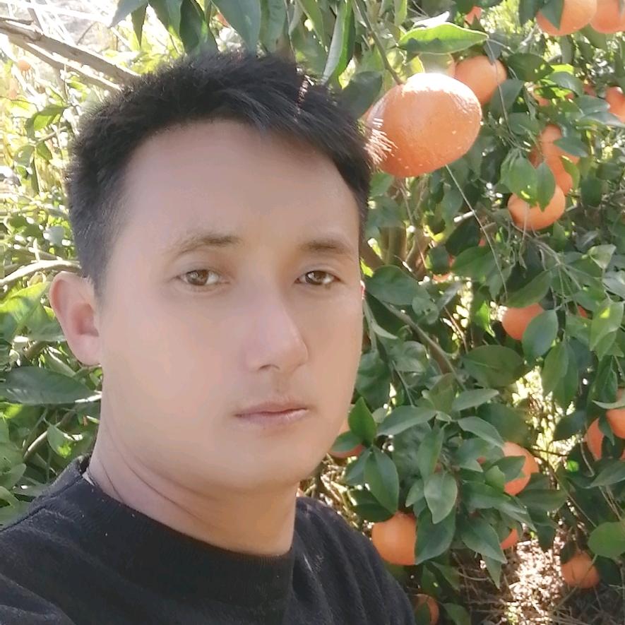 彦华柑橘种植基地