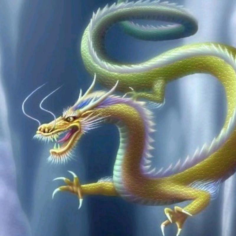 尛龍帝头像
