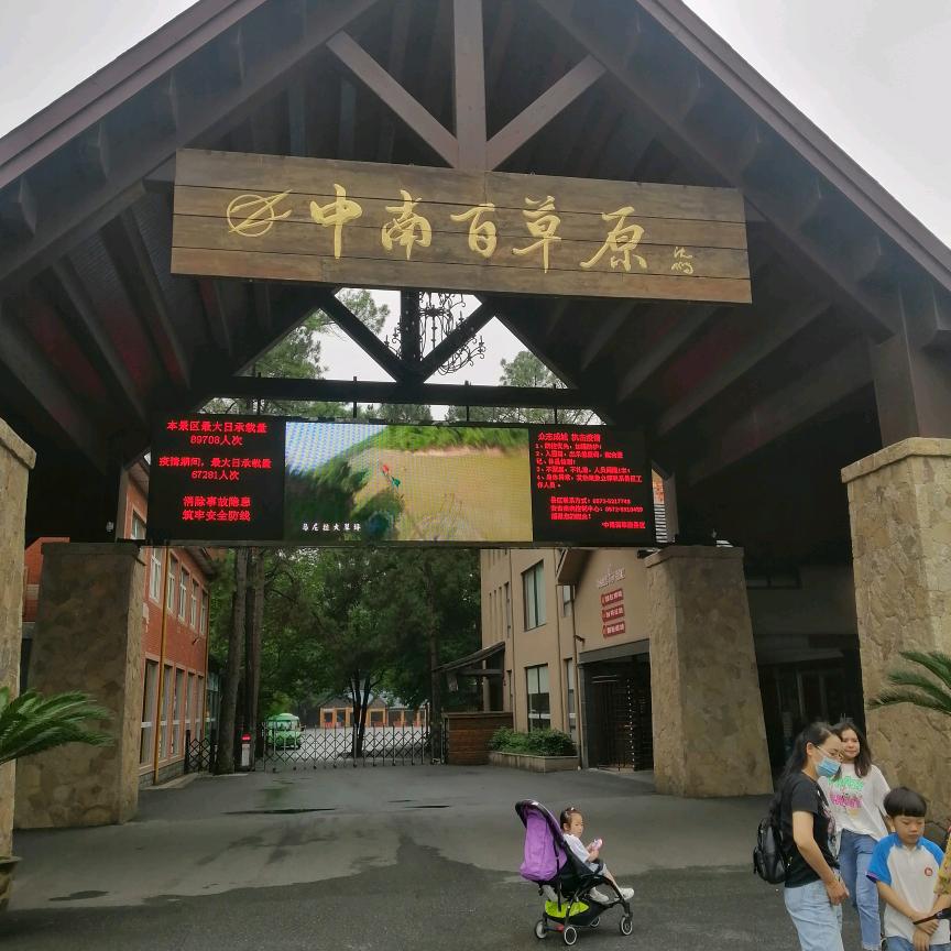 发仔