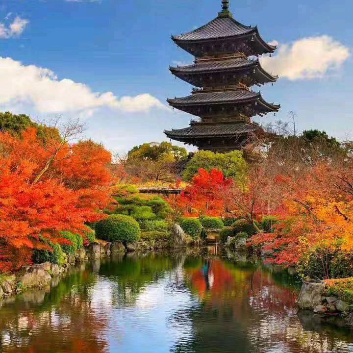 扬帆房产（小年糕）