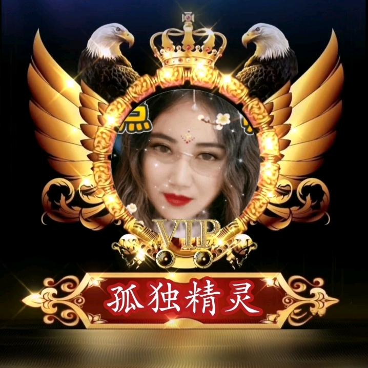 孤独精灵～金曲收藏～9255