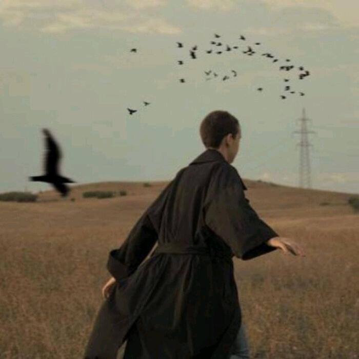 弦未尽