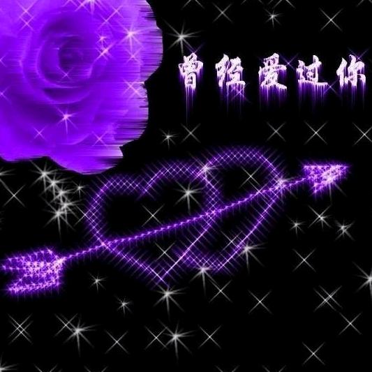 追求的社会