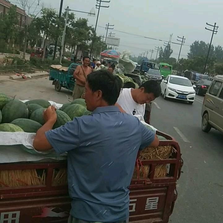 雨轩果业全国，代收代发