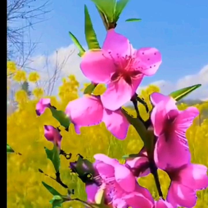 微笑😊