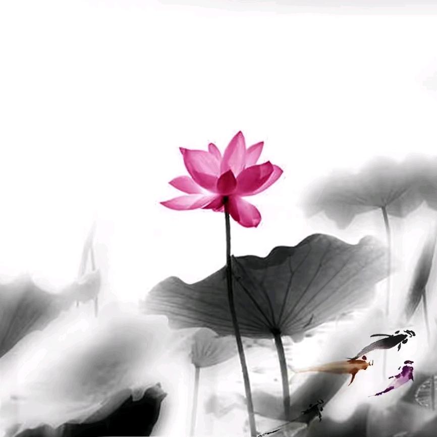 满船清梦压星河