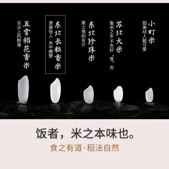 五哥大米先生