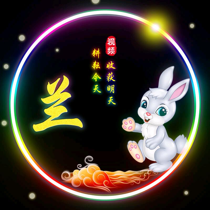 用户兰花