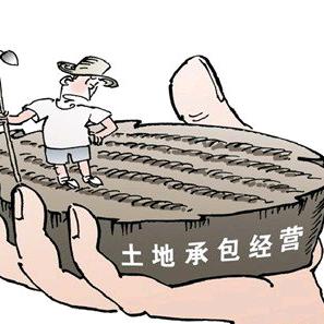 同城饲草