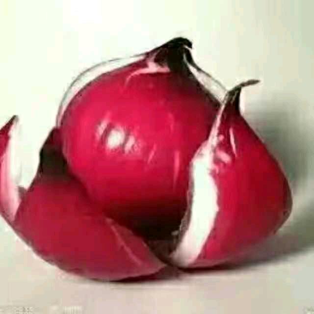 材哥