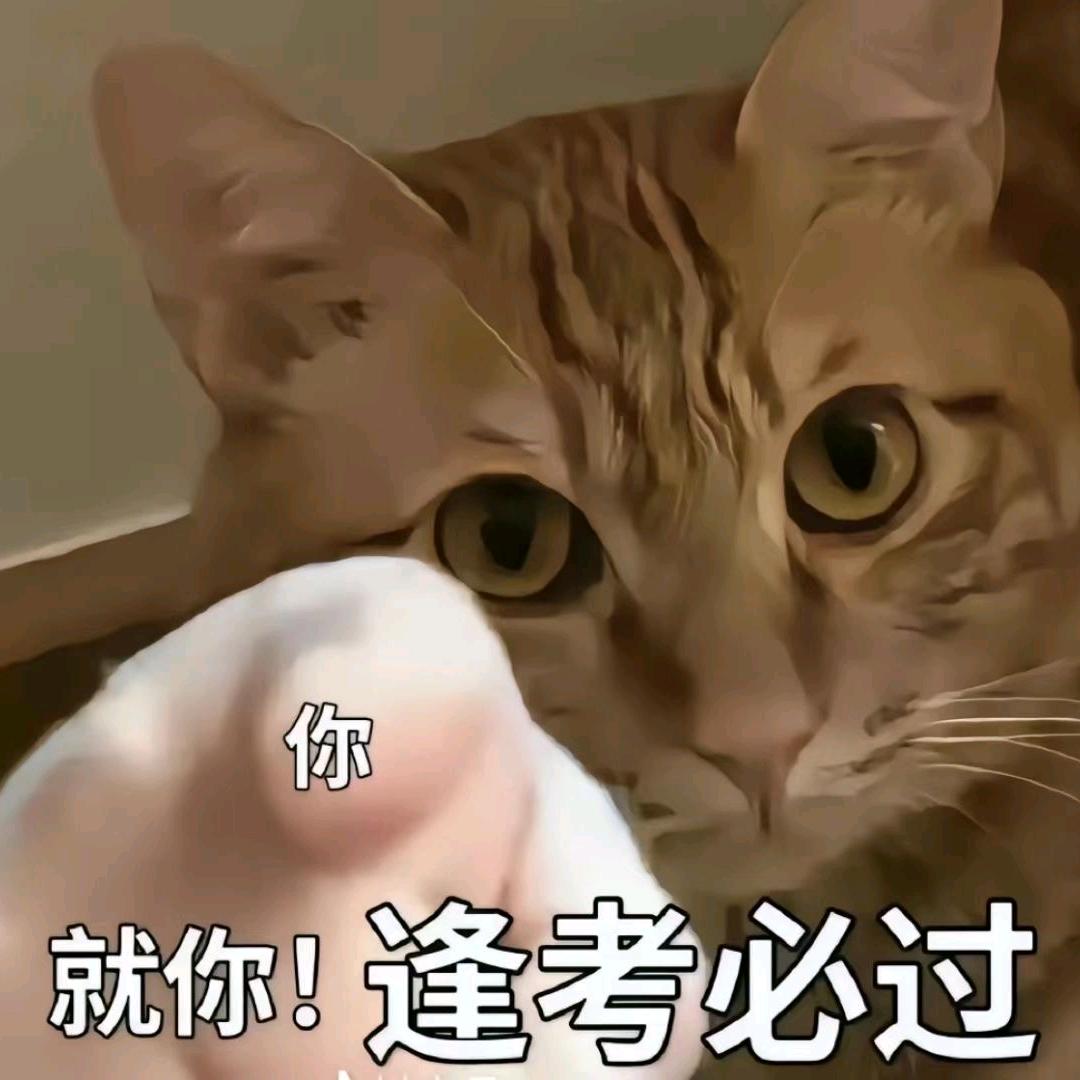 考公考编一对一指导