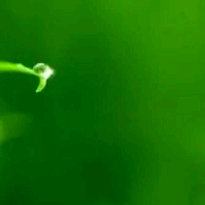 情断股海