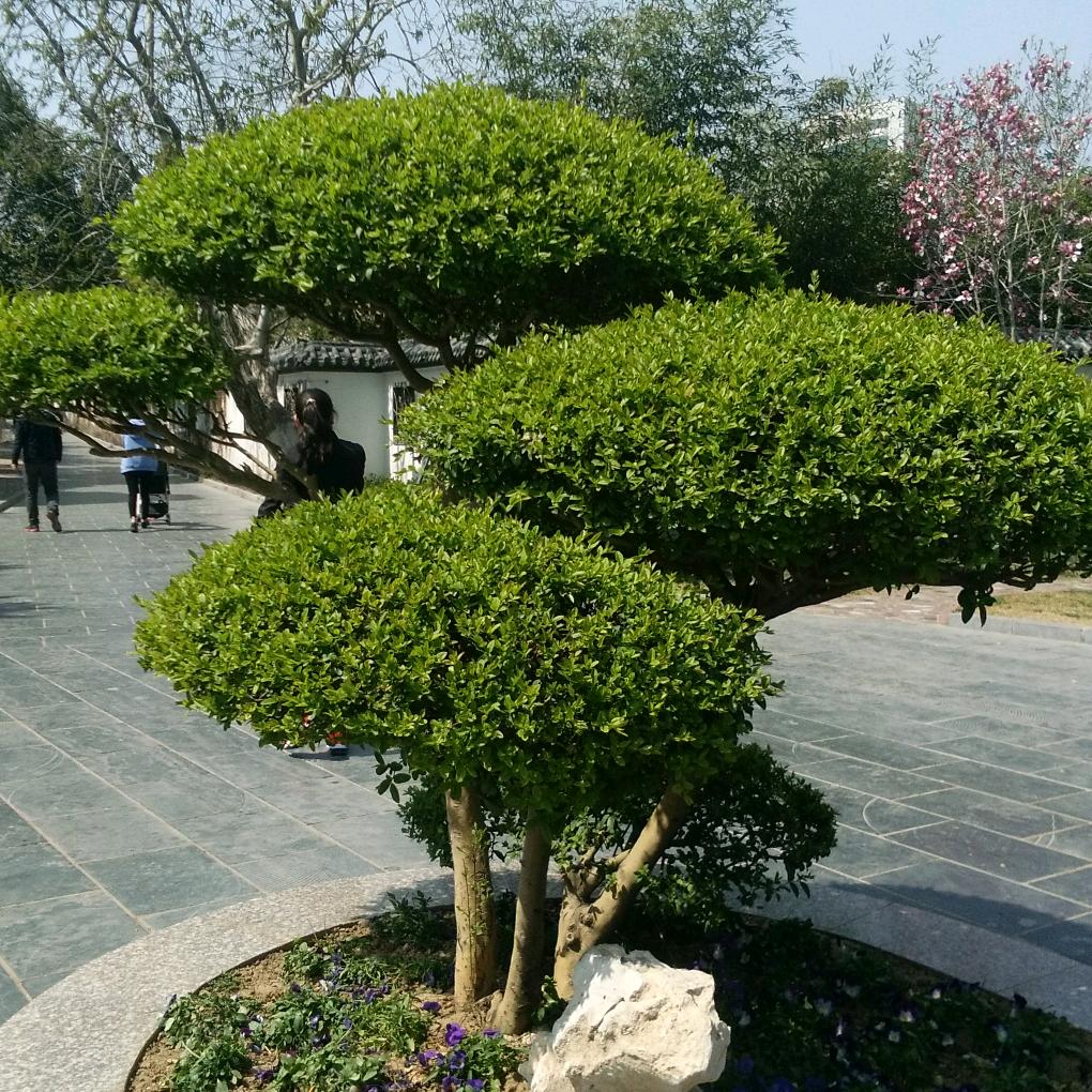 好人一生平安😁