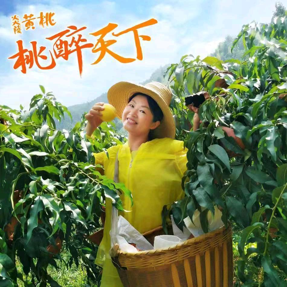 炎陵黄桃小店