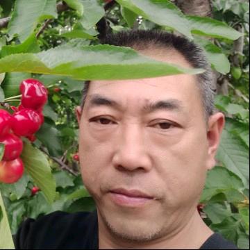 好运相伴