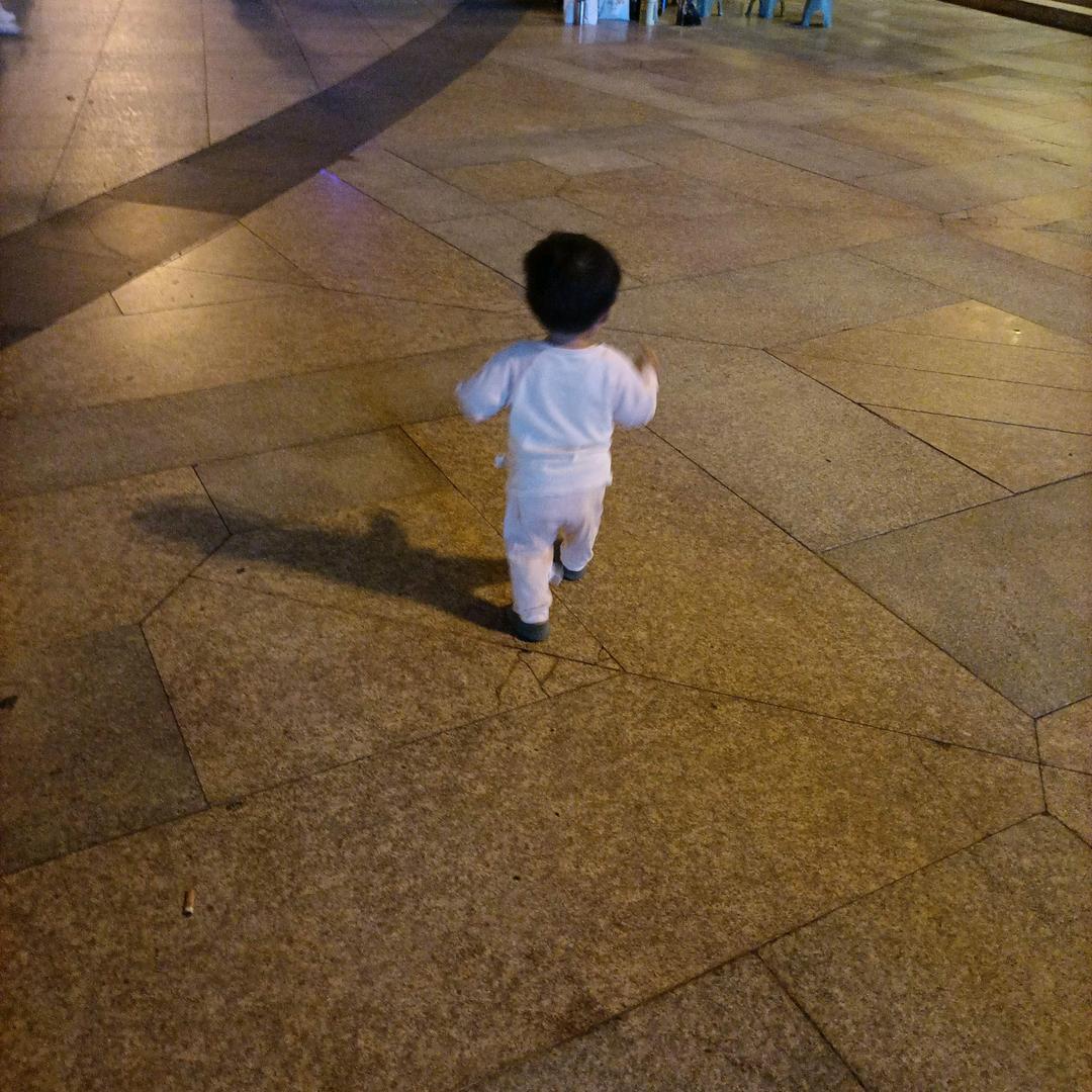 公海大鲨鱼