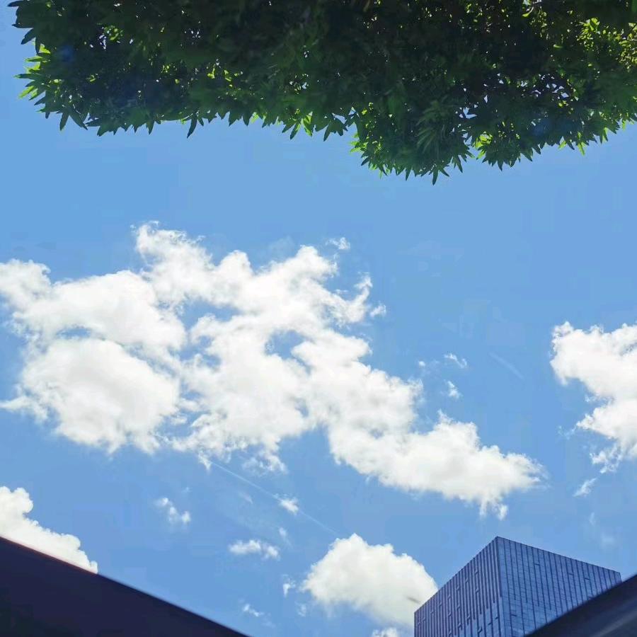 安眠药🍉🍉