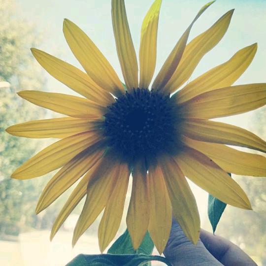 🕊人生᭄若ℒ如ℴ初见