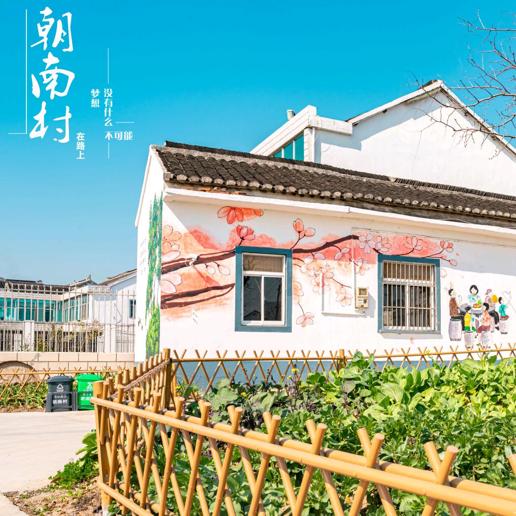 我家朝南
